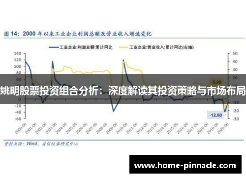 姚明股票投资组合分析：深度解读其投资策略与市场布局